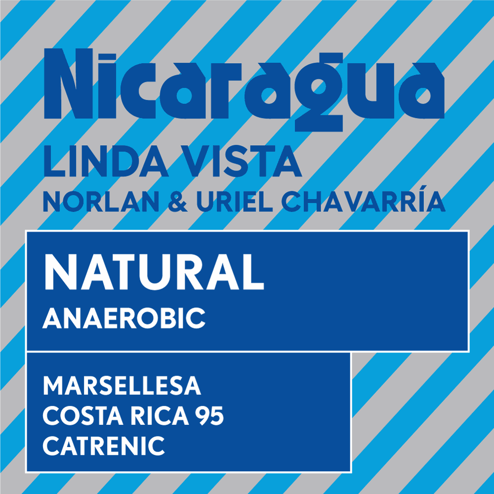 Nicaragua Chavarría anaerobic natural espresso
