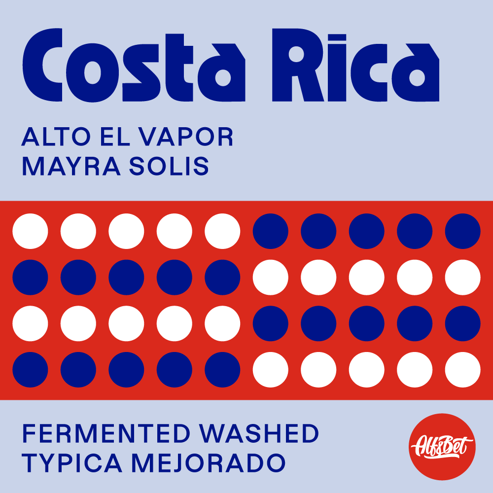 Costa Rica Alto el Vapor washed