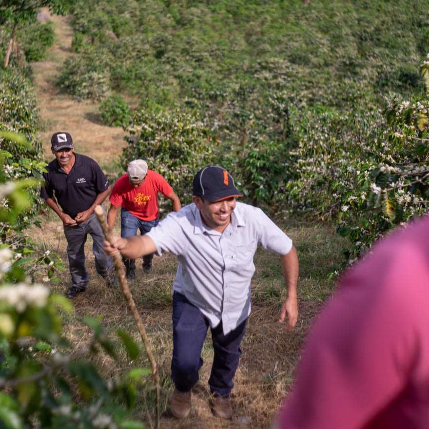 Nicaragua Chavarría anaerobic honey espresso
